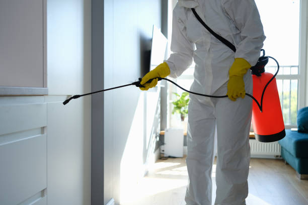 Best Certified Mold Removal  in Enigma, GA