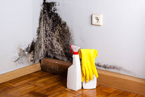 Water Damage Restoration in Enigma, GA